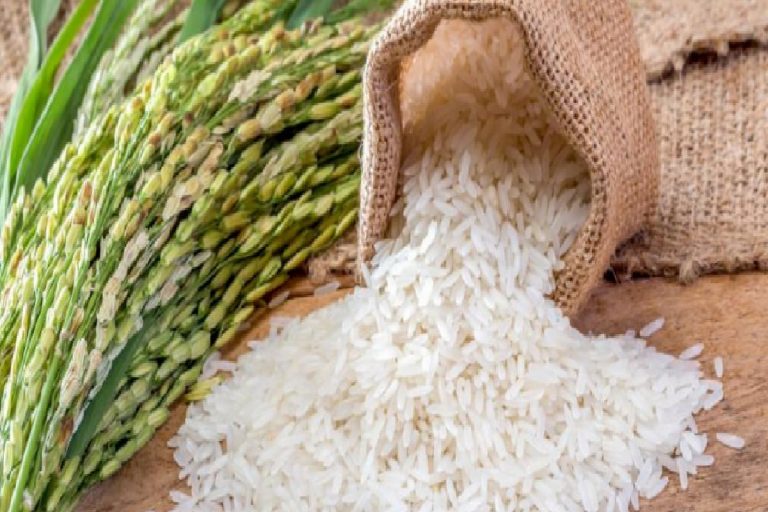 Baldo pirinç nedir? Baldo pirinç özellikleri nelerdir? 2019 baldo pirinç fiyatları