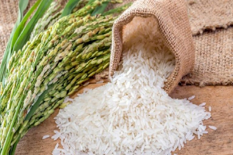 Baldo pirinç nedir? Baldo pirinç özellikleri nelerdir? 2020 baldo pirinç fiyatları