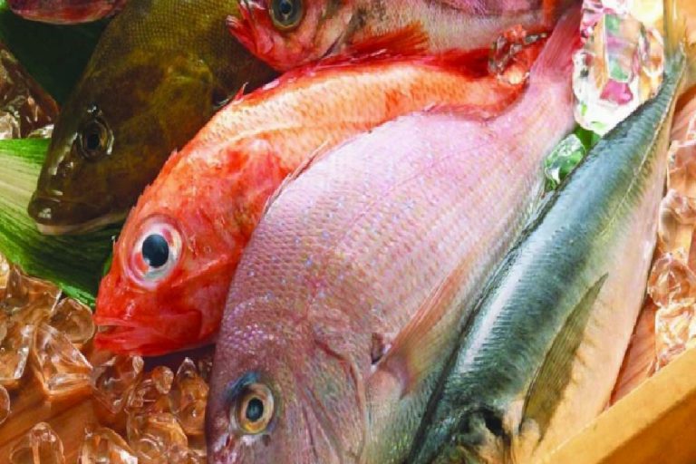 Balığın bağışıklığa etkileri! Balığın faydaları nelerdir? Balık en sağlıklı nasıl tüketilir?
