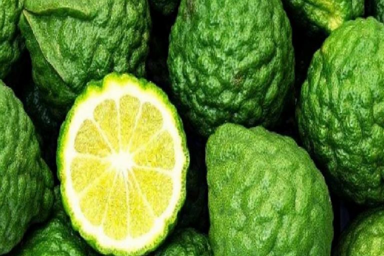 Bergamot nedir? Bergamot nerede yetişir? Bergamotun faydaları nelerdir?