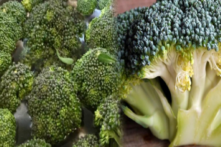 Brokolinin faydaları nelerdir? Brokoli neye iyi gelir? Brokoli suyu ne işe yarar?