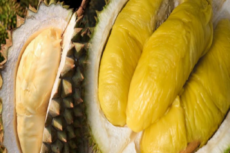 Durian meyvesinin faydaları nelerdir? Durian hangi hastalıklara iyi gelir? Durian nasıl tüketilir?