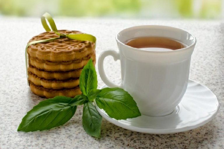 Fesleğenin faydaları nelerdir? Fesleğen nerelerde kullanılır? Fesleğen çayı nasıl yapılır?