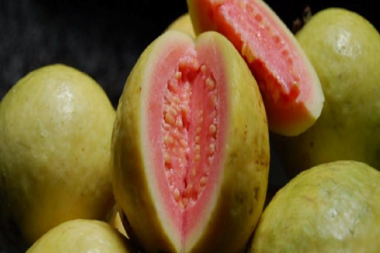 Guava meyvesi nedir? Guava meyvesi nasıl yenir & Faydaları nelerdir