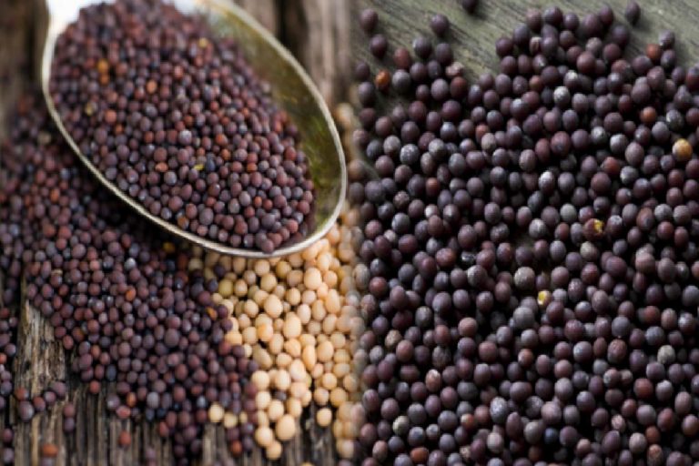 Hardalın faydaları nelerdir? Hardal hangi hastalıklara iyi gelir? Siyah hardal tohumu nasıl kullanılır?