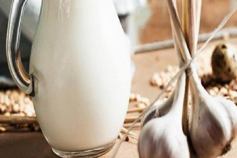 Sarımsak sütü nasıl yapılır? Sarımsak sütü ne işe yarar? Sarımsaklı süt yapımı…