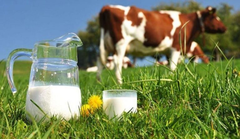 Süt alerjisi nedir? Bebeklerde süt alerjisi ne zaman geçer? İnek sütü alerjisi…
