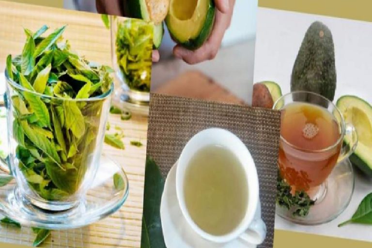Avokado yaprağı çayının faydaları nelerdir? Avokado yaprağı çayı nasıl yapılır?
