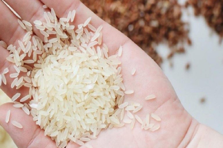 Baldo pirinç nedir? Baldo pirinç özellikleri nelerdir? 2021 baldo pirinç fiyatları