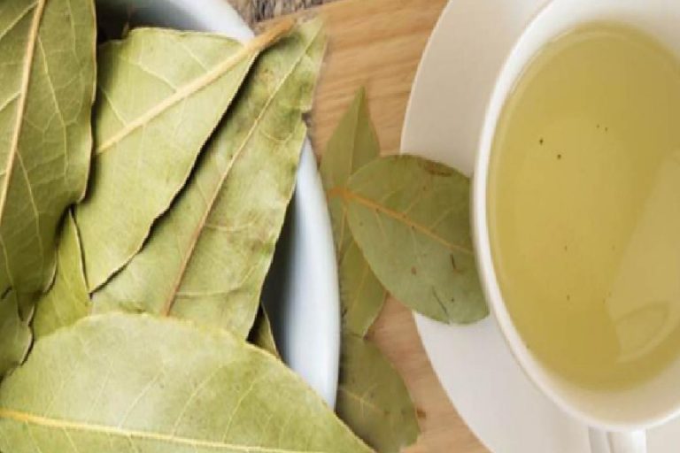 Ceviz yaprağı çayının faydaları nelerdir? Ceviz yaprağı çayı nasıl yapılır?