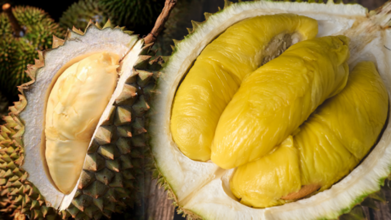 Durian meyvesinin faydaları nelerdir? Durian nasıl tüketilir?