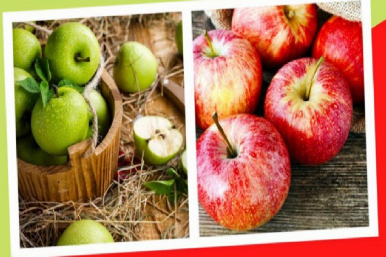Sağlıklı kilo verdiren Elma diyeti nasıl yapılır? Ödem atan yeşil elma detoksu ile zayıflama