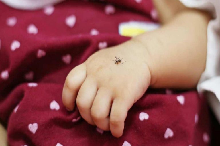 Bebeklere sinek kovucu sürülür mü? 2022 bebekler için en iyi sinek kovucular