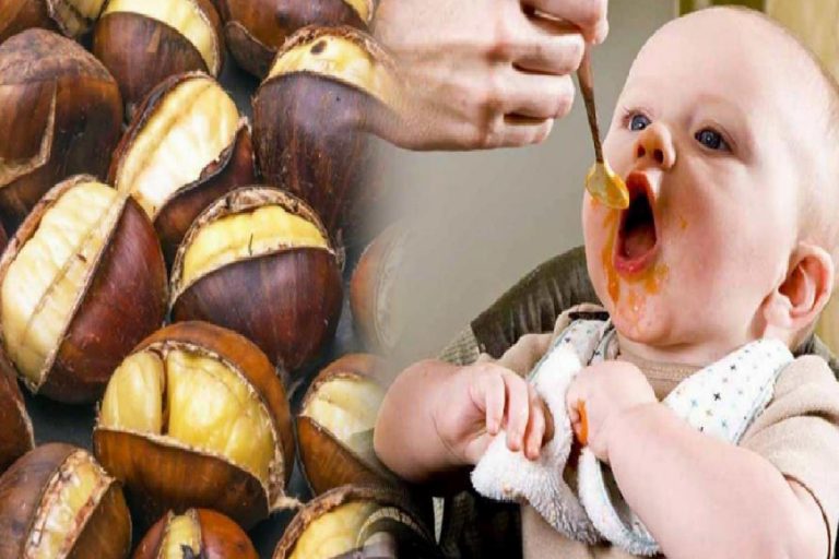 Bebekler kestane yiyebilir mi? Kestane muhallebisi nasıl yapılır?