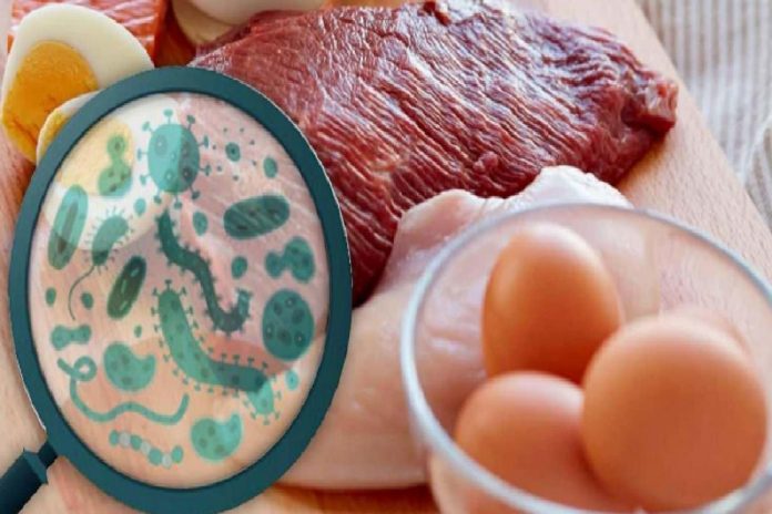 salmonella-bakterisi-nedir-salmonella-belirtileri-nelerdir-44uLR7db.jpg
